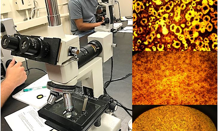 metal alloy samples